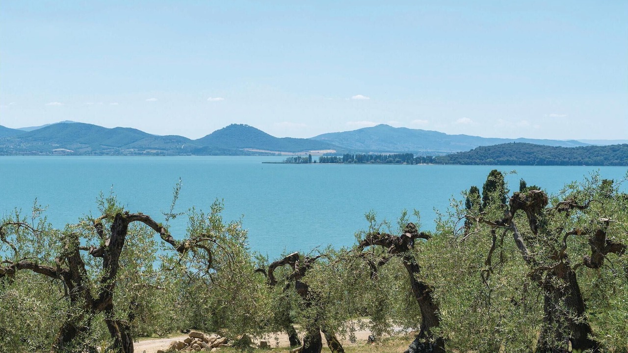 Photo of Others in Castiglione del Lago