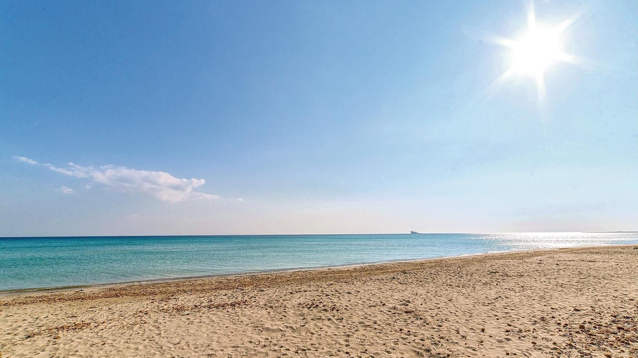 Photo of Others in Ladispoli