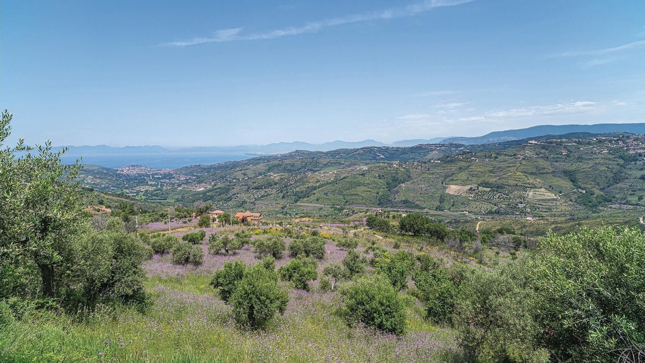 Photo of Bedroom in Laureana Cilento