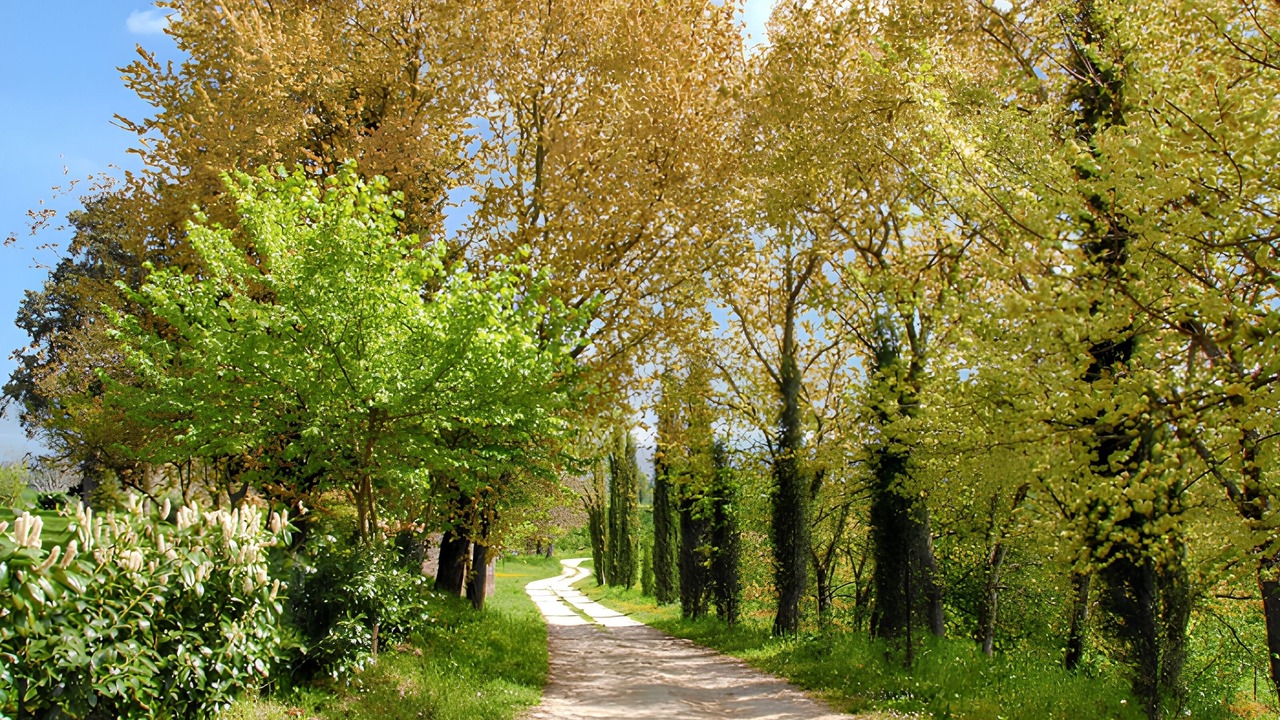 Photo of Others in Bevagna
