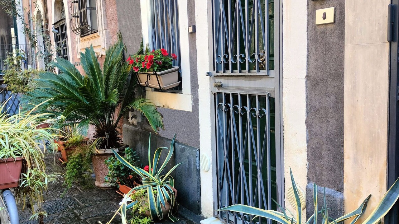 Photo of Outdoor in Catania City Centre