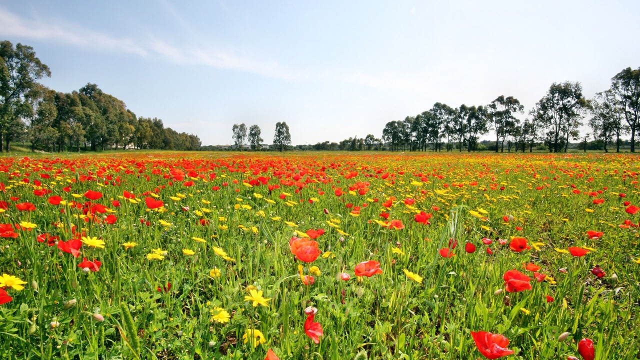 Photo of Outdoor in Casarano