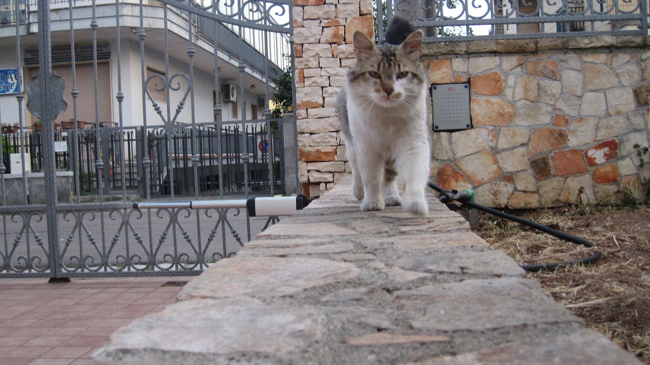 Photo of Outdoor in Casarano