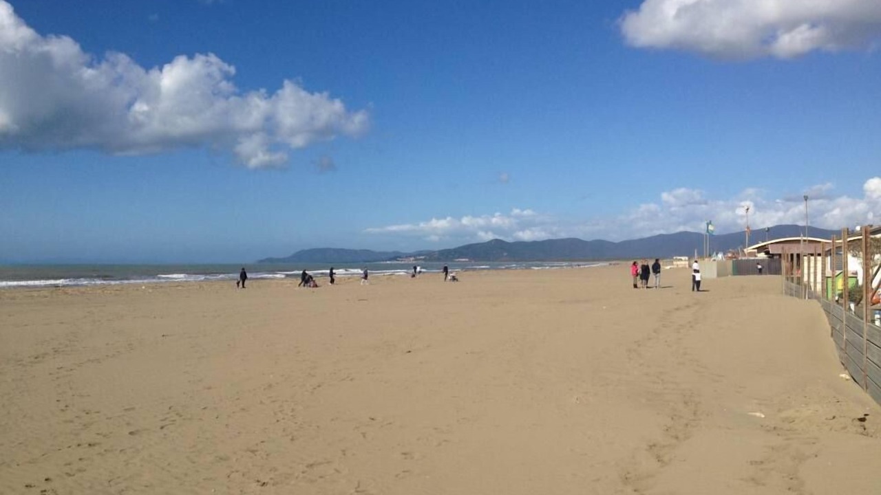 Photo of Others in Marina di Grosseto