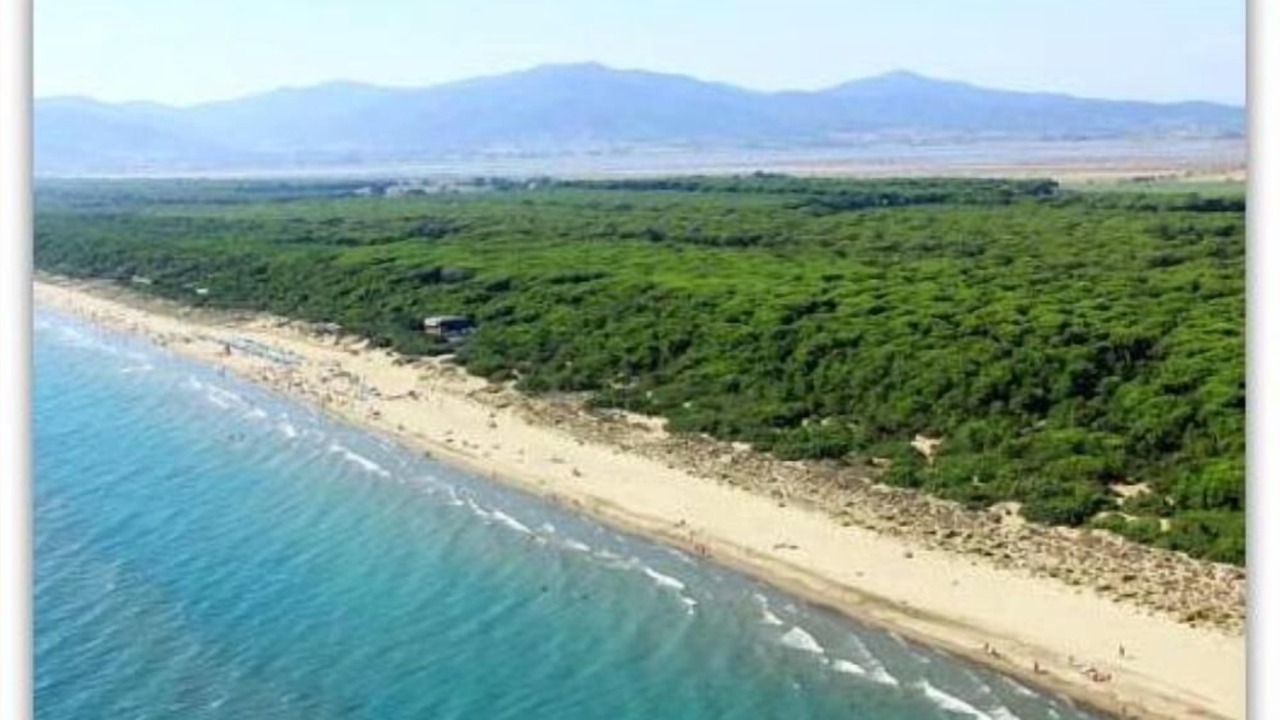 Photo of Others in Marina di Grosseto