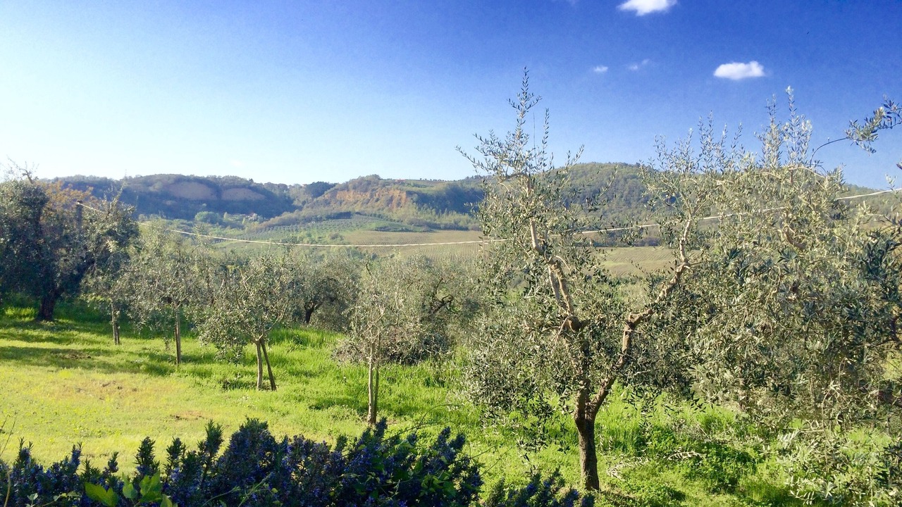 Photo of Outdoor in Ficulle
