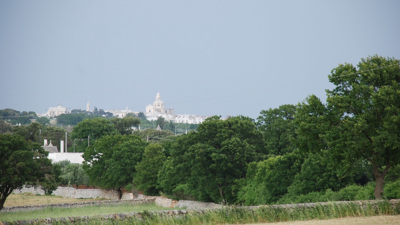 Photo of Others in Martina Franca