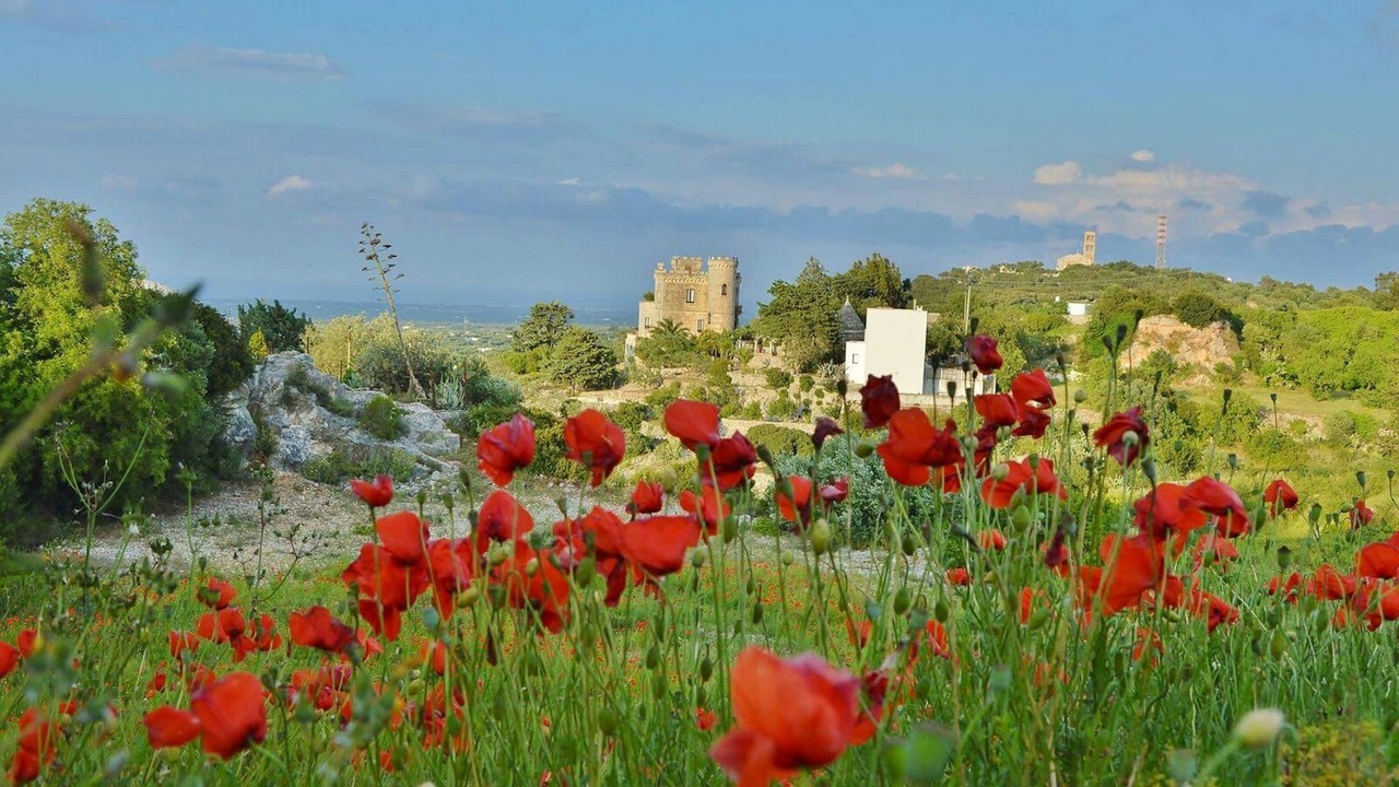 Photo of Outdoor in Ostuni