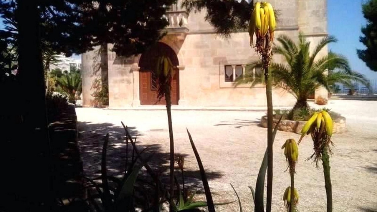 Photo of Outdoor in Ostuni