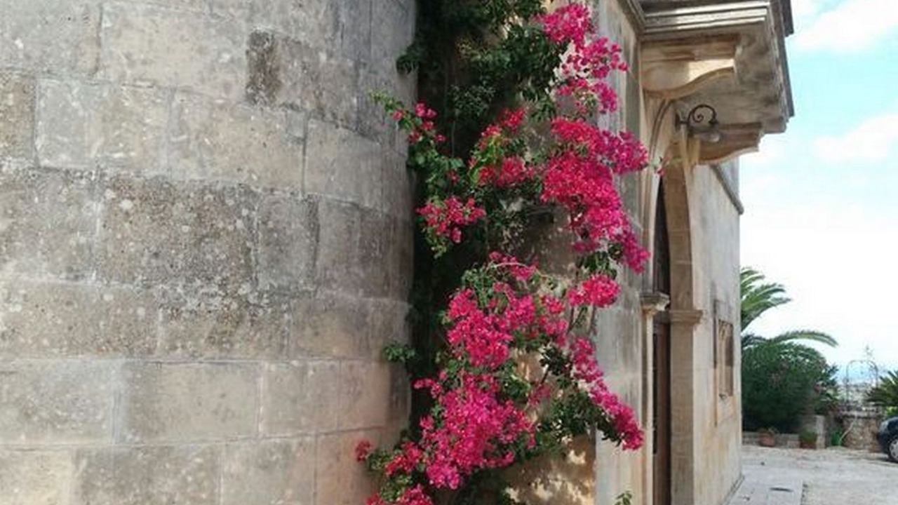 Photo of Outdoor in Ostuni