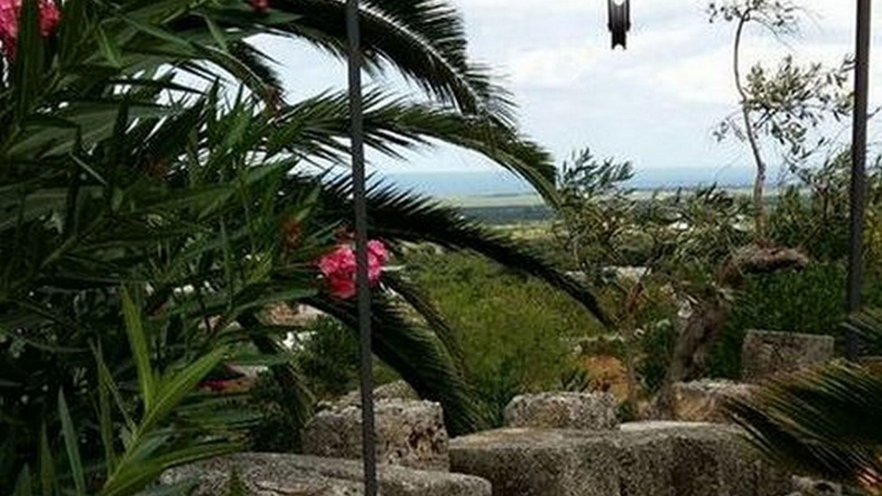 Photo of Outdoor in Ostuni