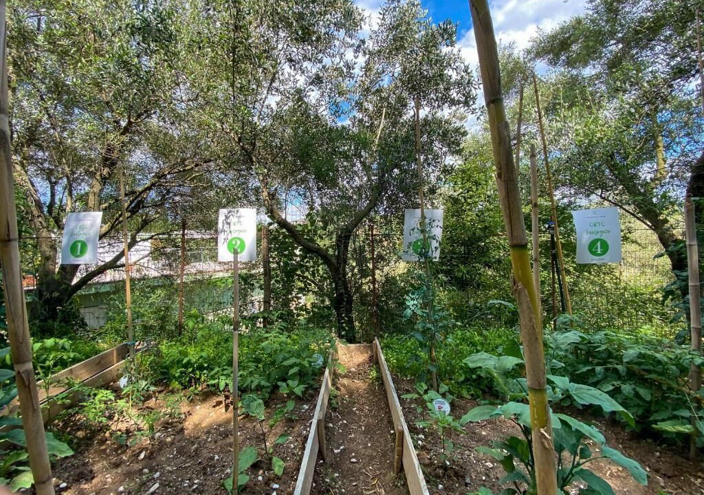 Photo of Outdoor in Salerno