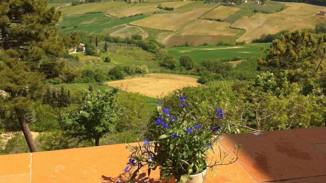 Photo of Others in Montepulciano
