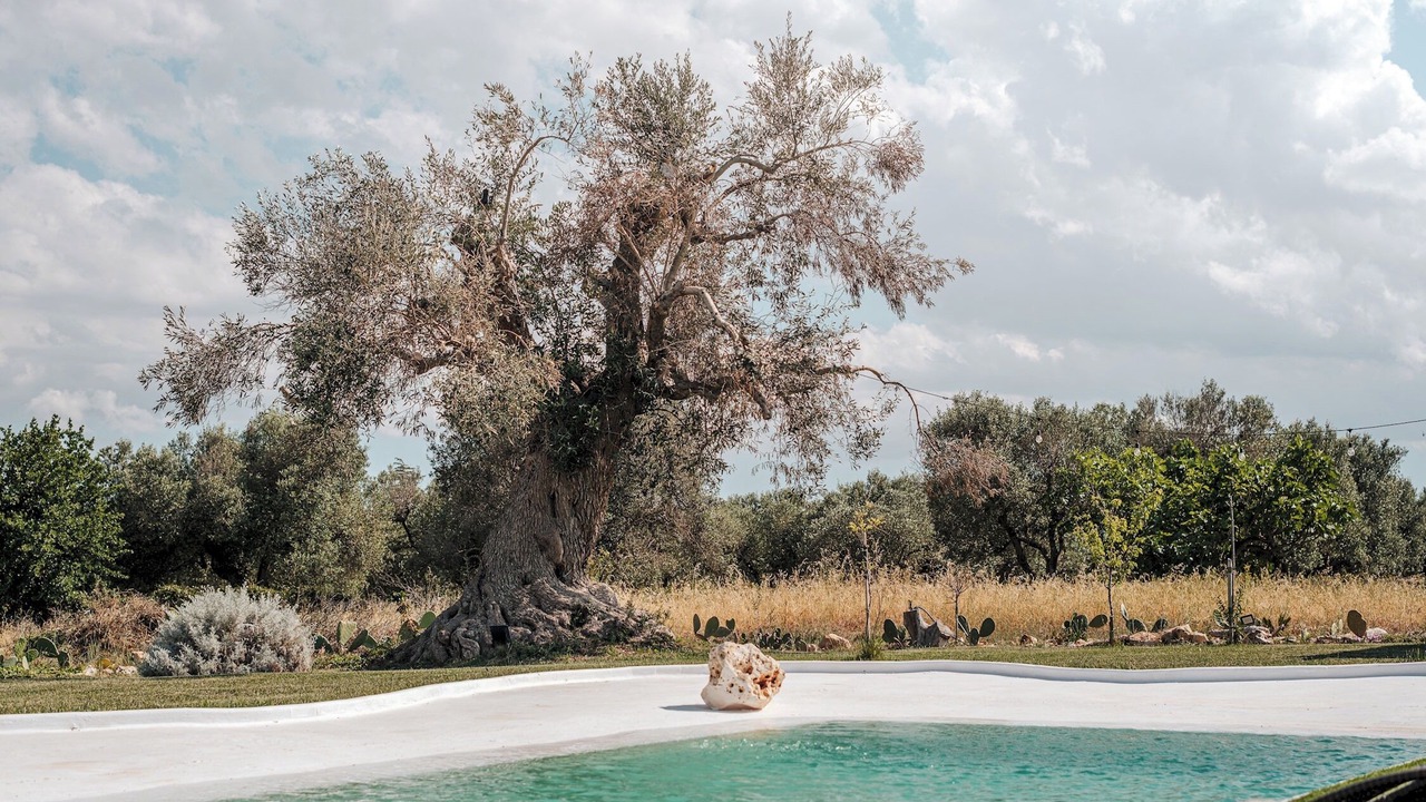 Photo of Outdoor in Ostuni