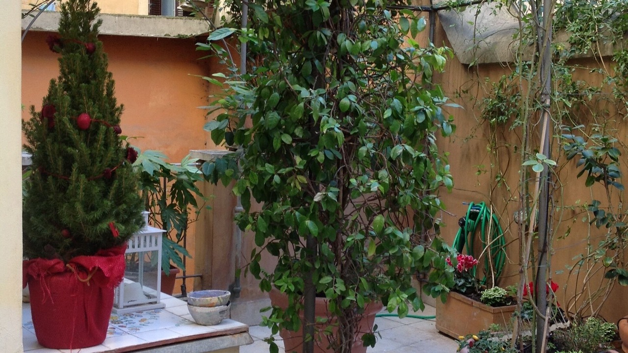 Photo of Outdoor in Rione IV Campo Marzio