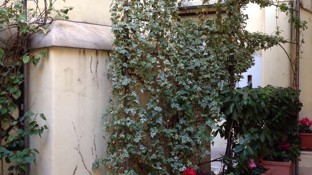 Photo of Outdoor in Rione IV Campo Marzio