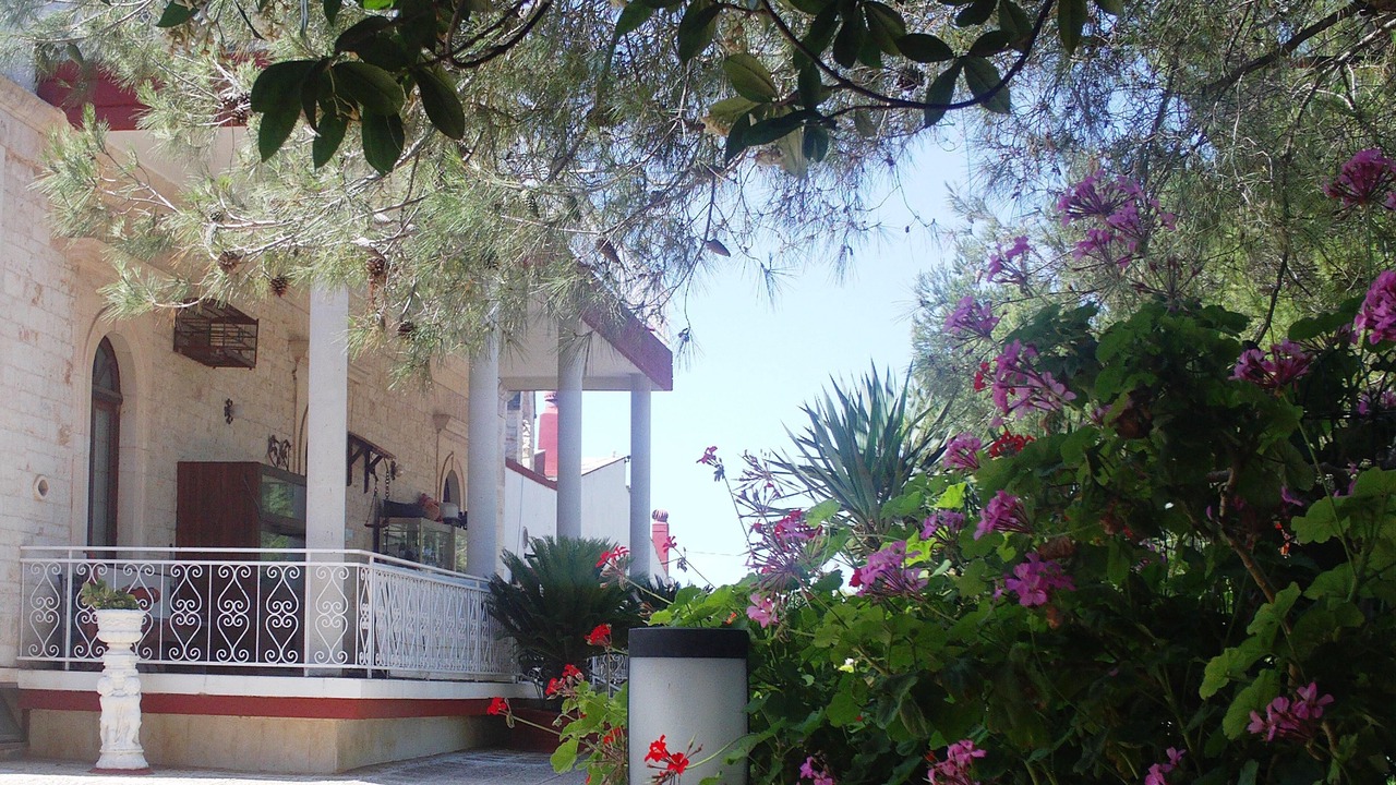 Photo of Outdoor in Turi