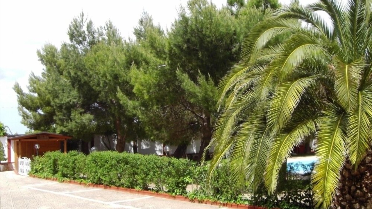 Photo of Outdoor in Turi