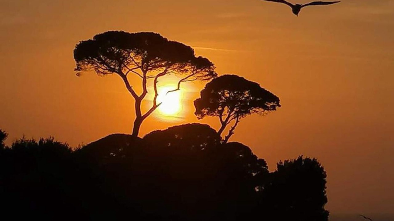 Photo of Outdoor in Piano di Sorrento