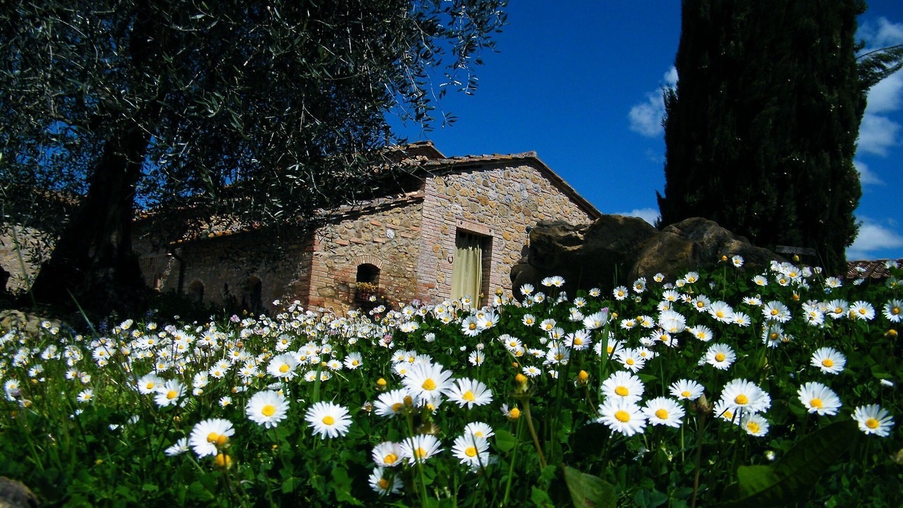 Photo of Outdoor in San Gimignano