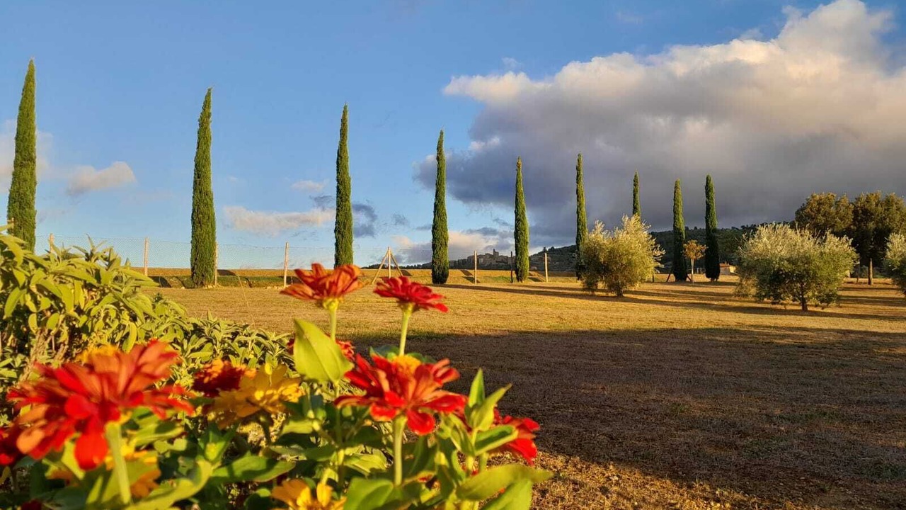 Photo of Outdoor in Panicale
