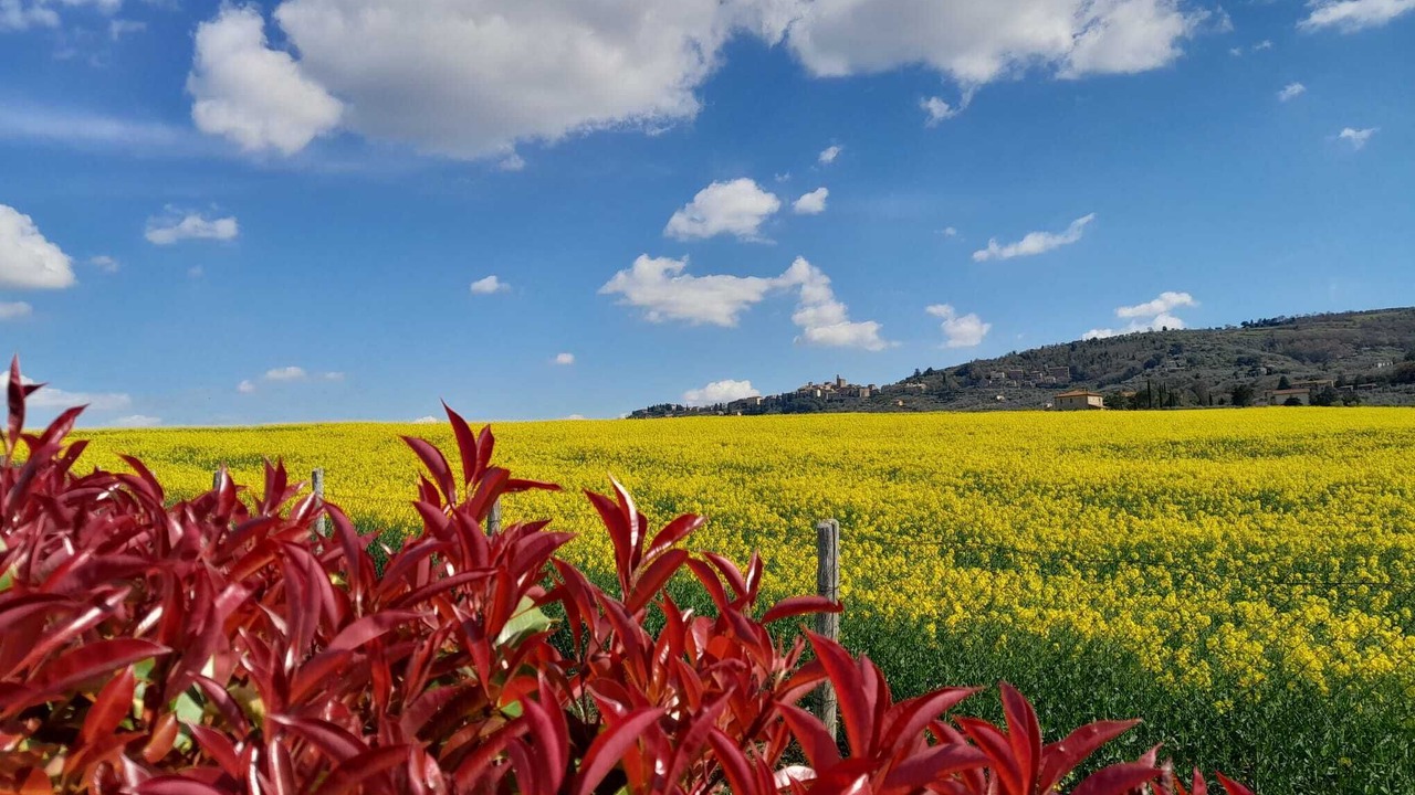 Photo of Outdoor in Panicale