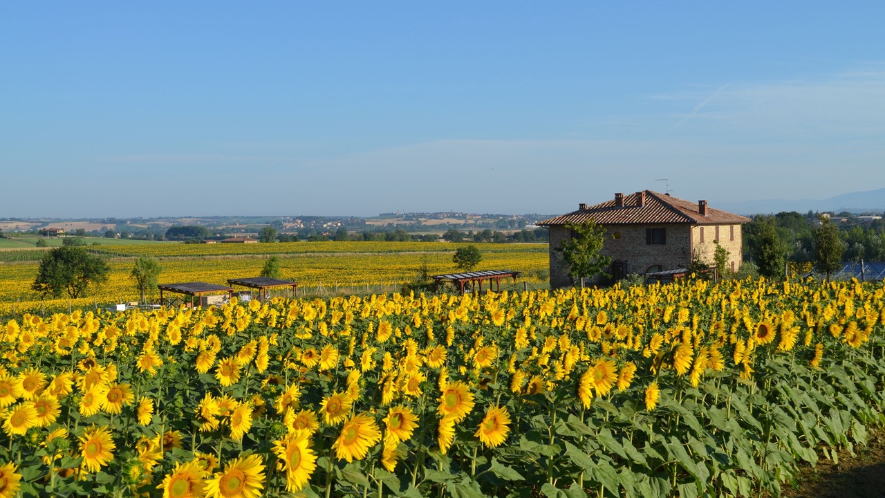 Photo of Others in Panicale