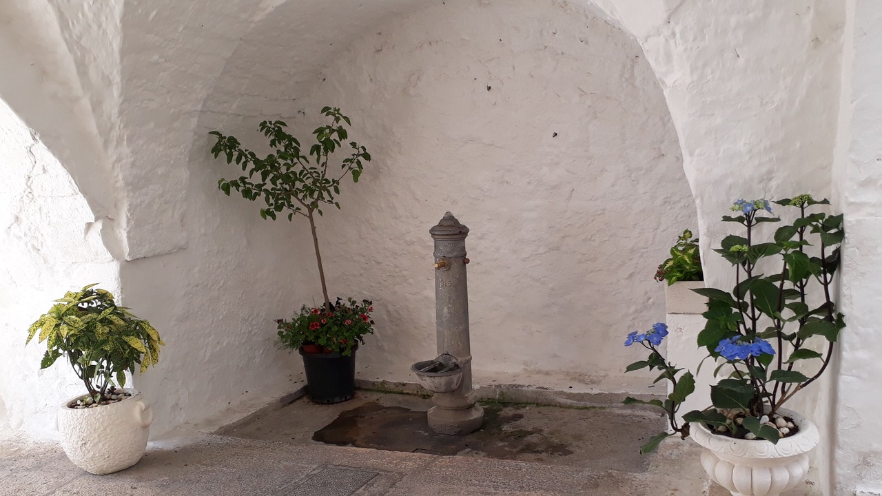 Photo of Outdoor in Cisternino