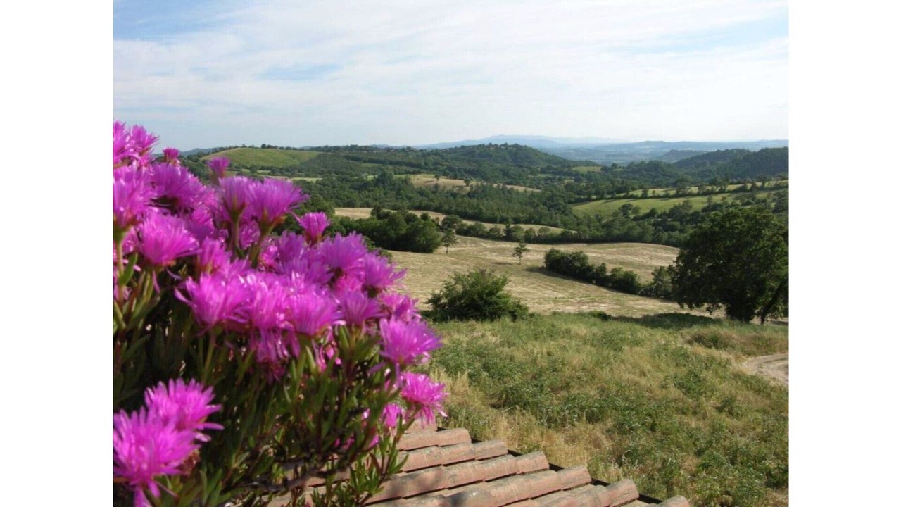 Photo of Outdoor in Semproniano