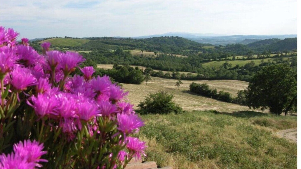 Photo of Outdoor in Semproniano