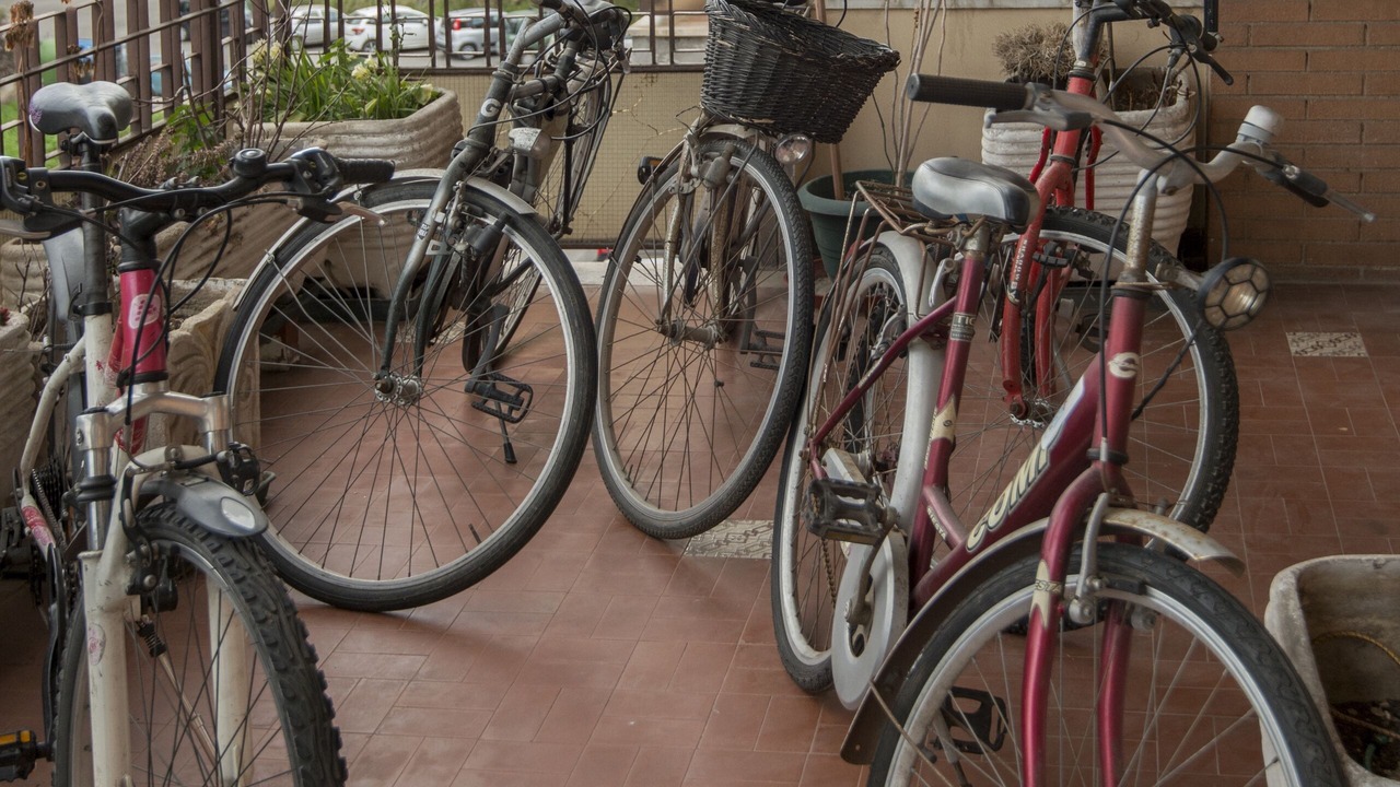 Photo of Outdoor in Quartiere XI Portuense