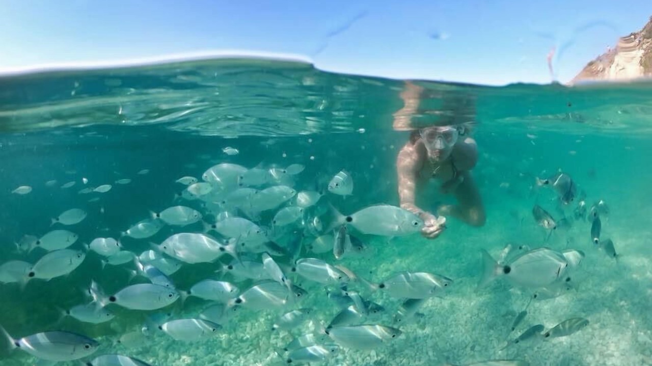 Photo of Others in Marina di Campo