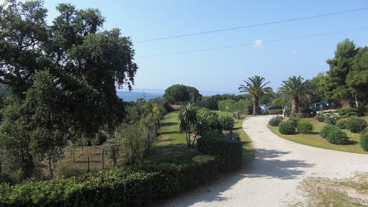 Photo of Others in Lido di Capoliveri