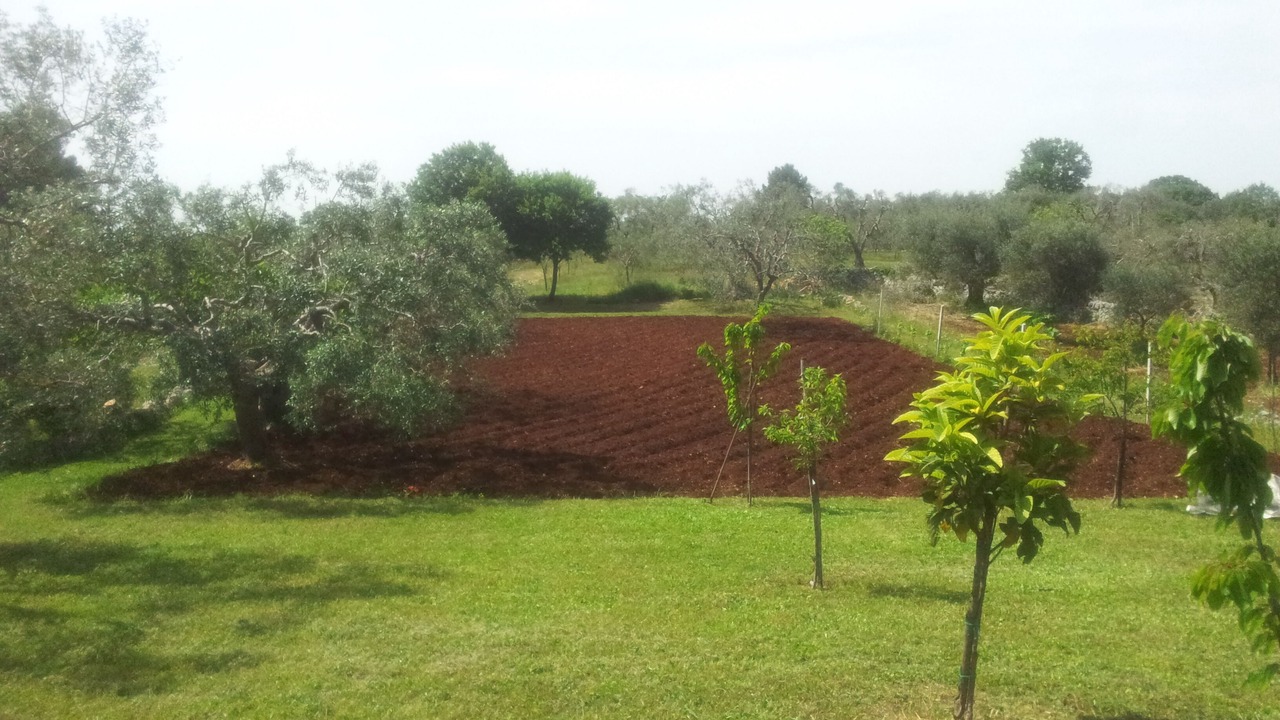 Photo of Outdoor in Specchiaruzzo