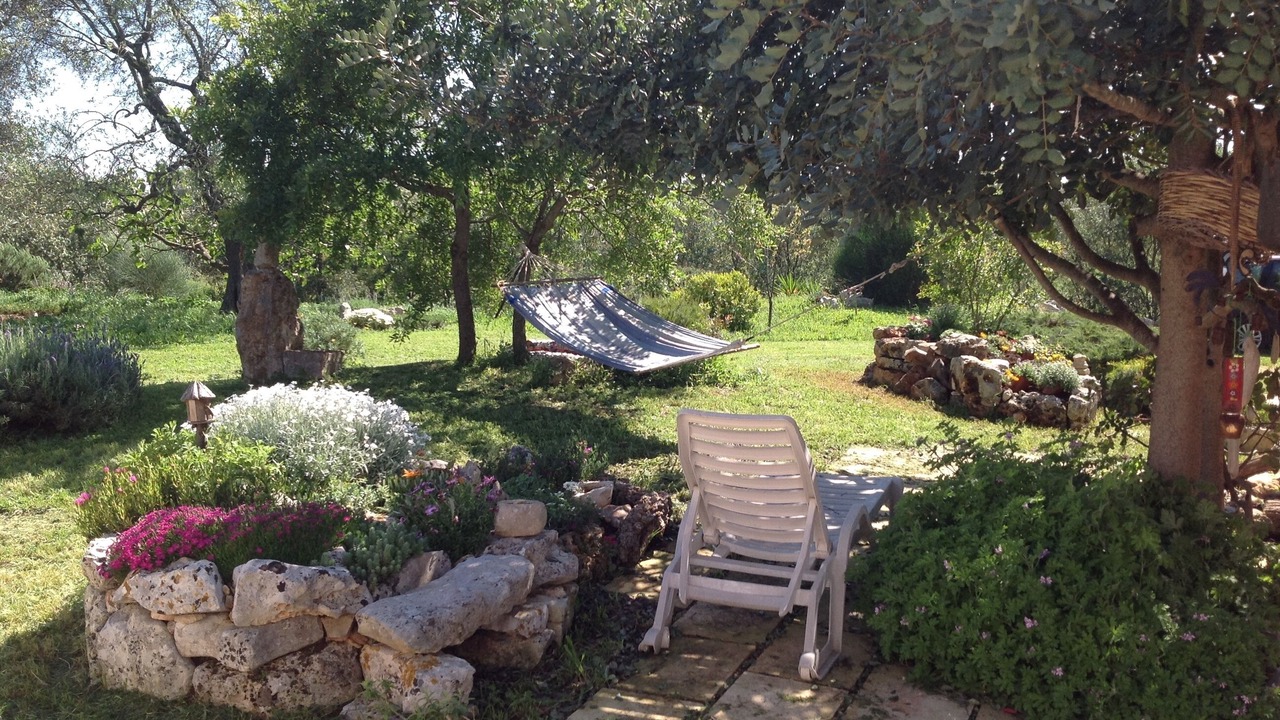Photo of Outdoor in Specchiaruzzo
