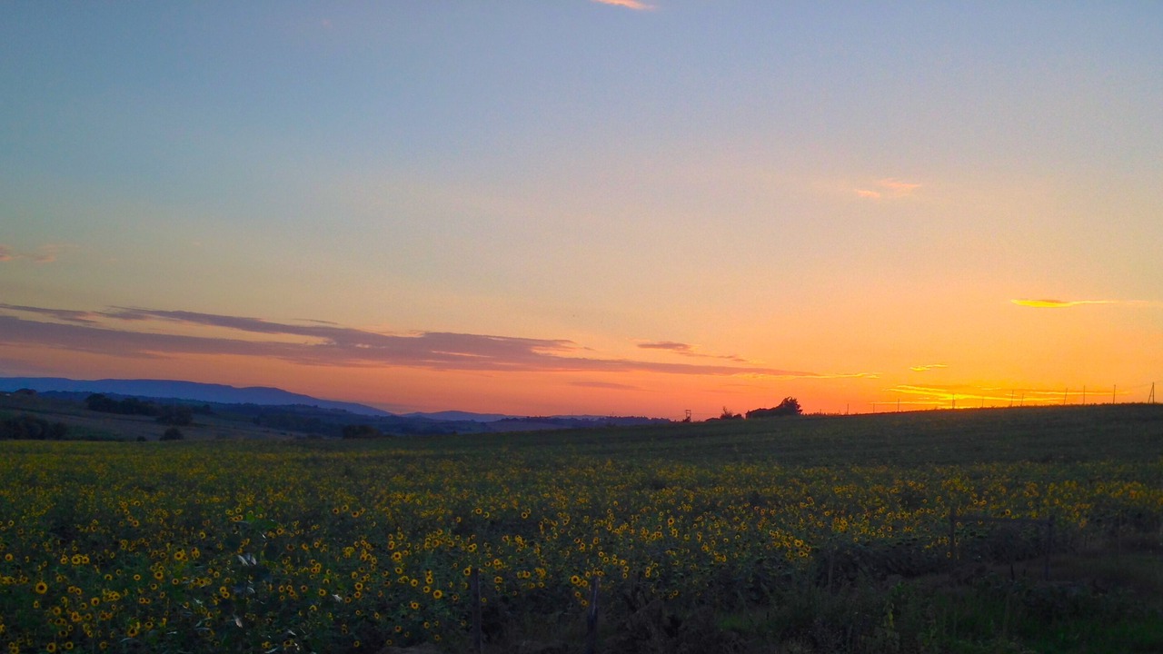 Photo of Outdoor in Paciano