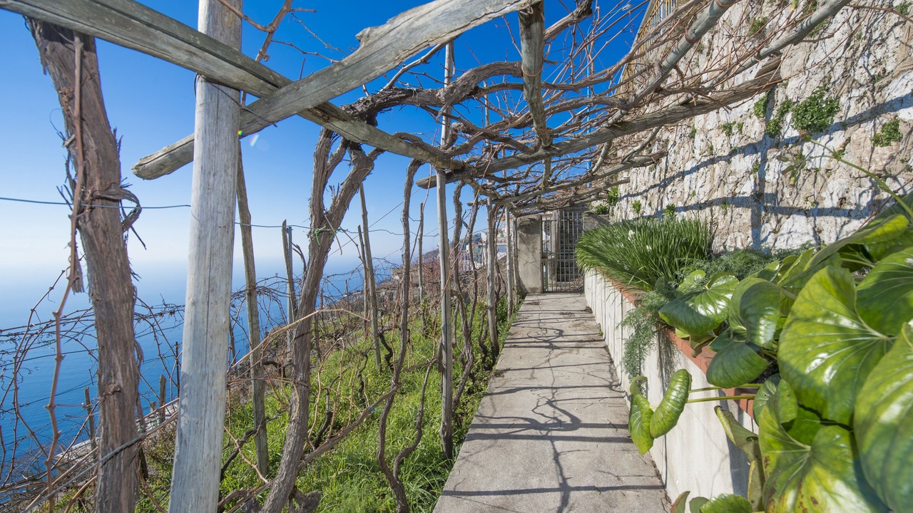 Photo of Outdoor in San Michele