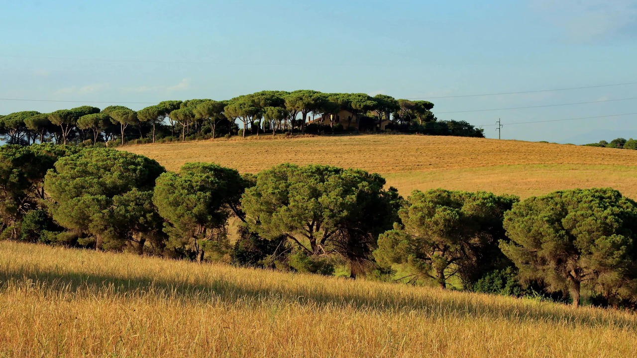 Photo of Outdoor in Zona III Marcigliana