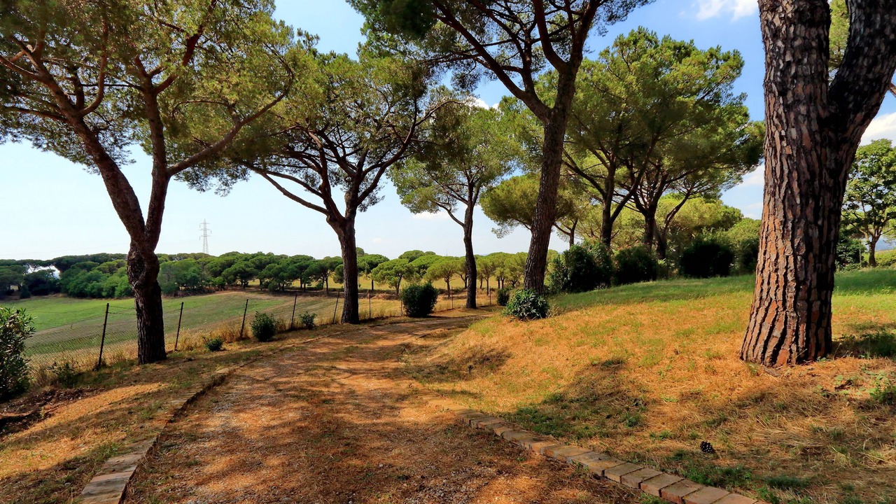 Photo of Outdoor in Zona III Marcigliana