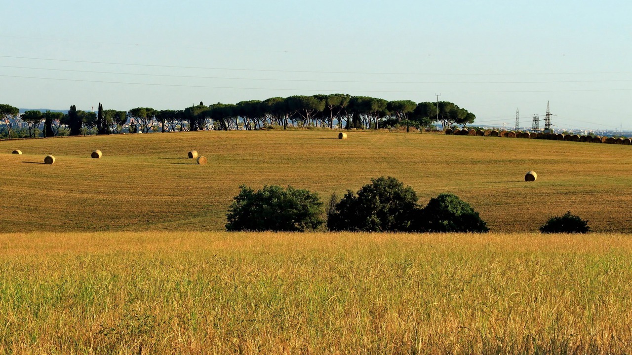 Photo of Others in Zona III Marcigliana