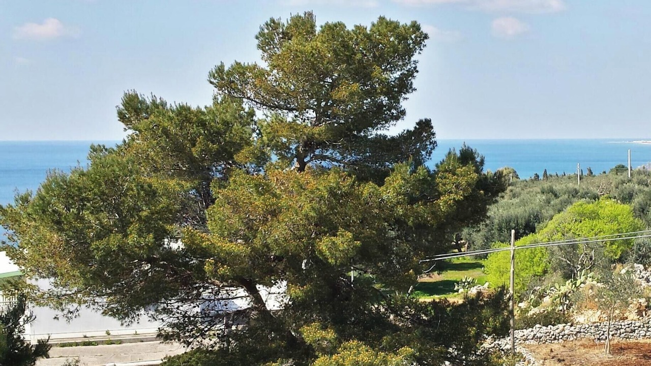 Photo of Outdoor in Marina San Gregorio