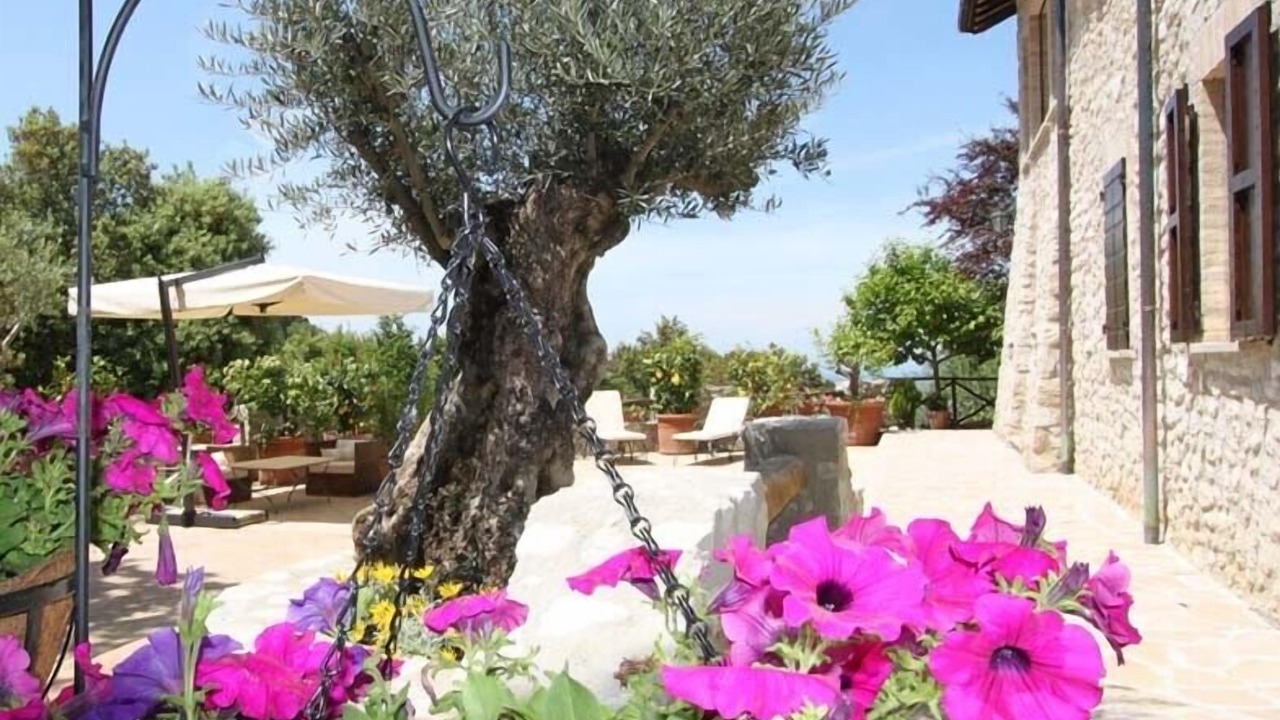 Photo of Outdoor in Spoleto