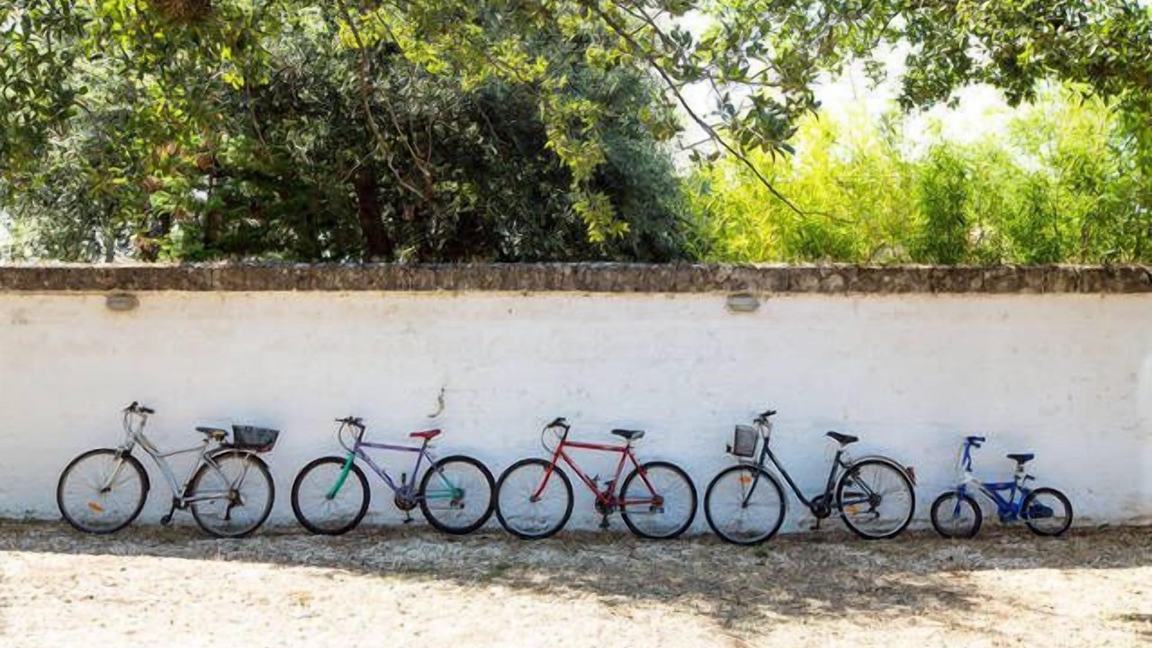 Photo of Outdoor in Sammichele di Bari