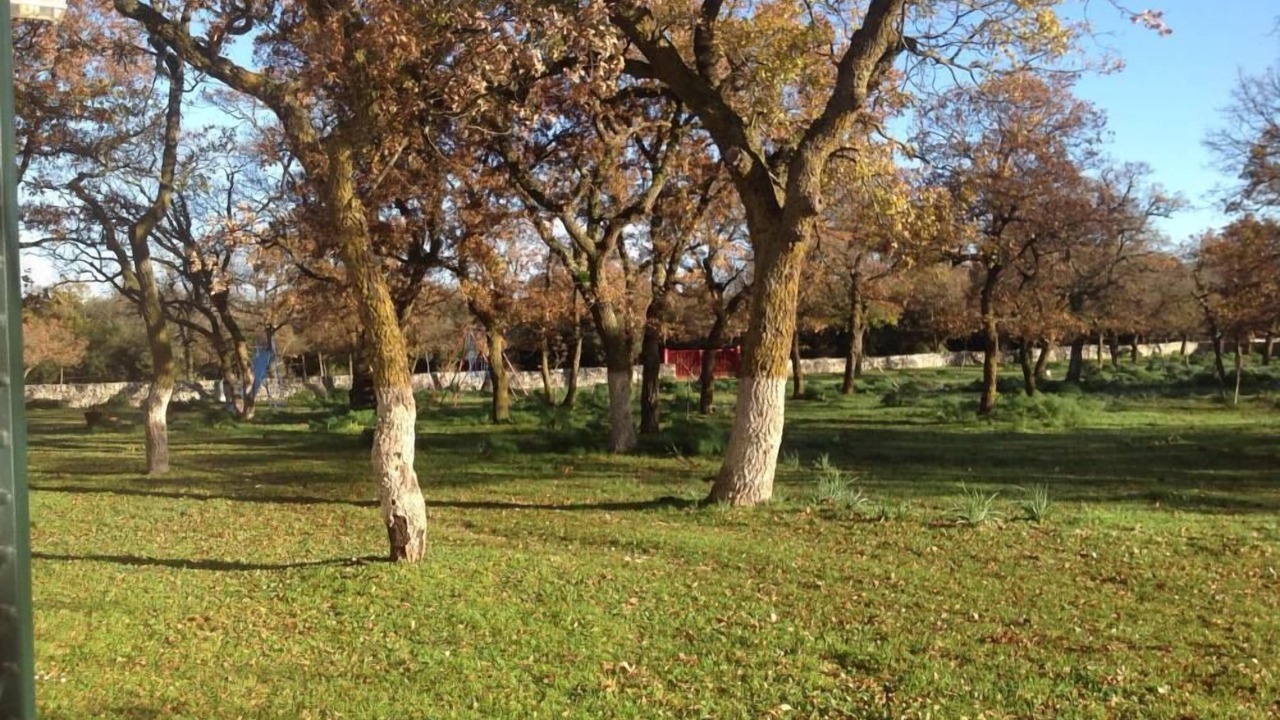 Photo of Outdoor in Sammichele di Bari