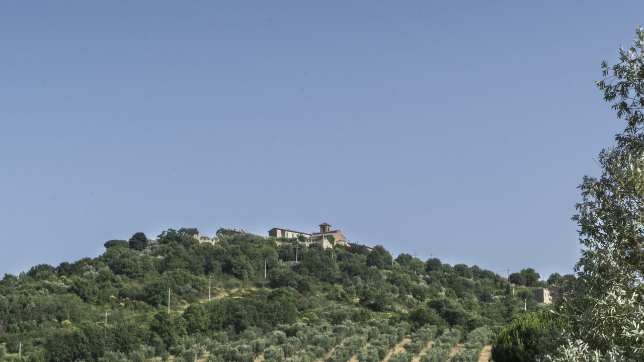 Photo of Others in Montecolognola