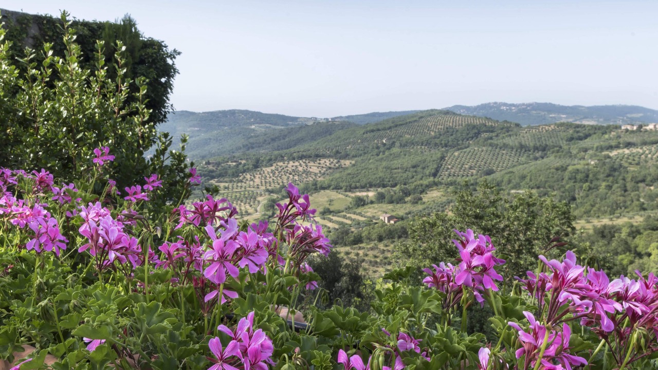 Photo of Outdoor in Montecolognola