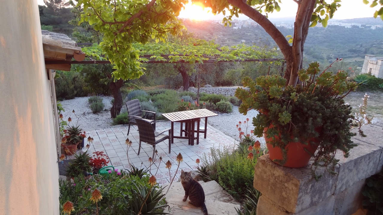 Photo of Outdoor in Avola