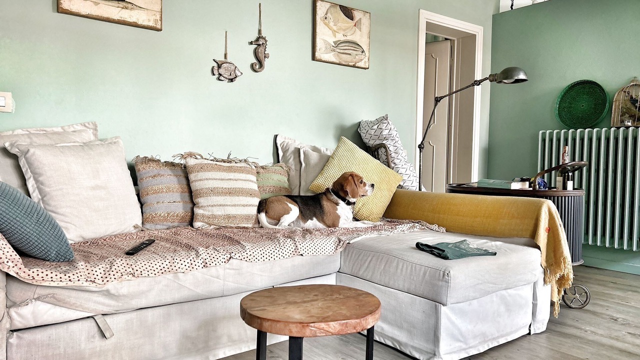Photo of Livingroom in Marina di Castagneto Carducci