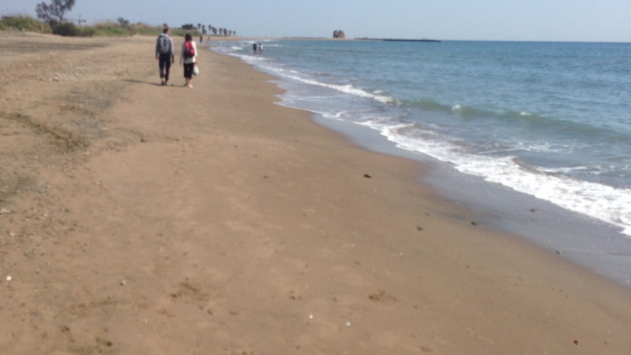 Photo of Others in Ladispoli