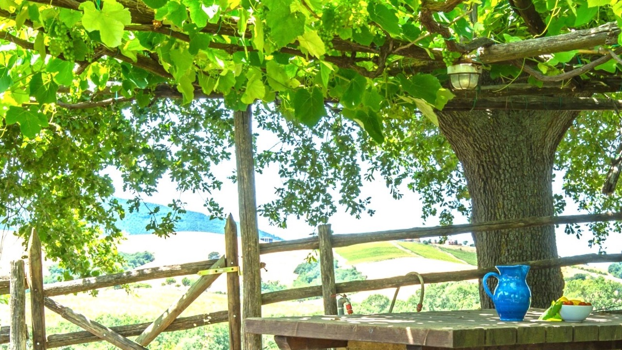 Photo of Outdoor in Pescia Fiorentina